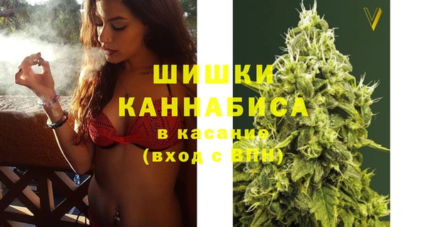 гидра Гусиноозёрск