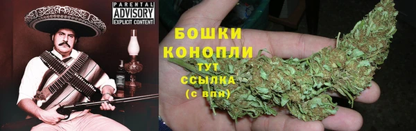 Альфа ПВП Горно-Алтайск