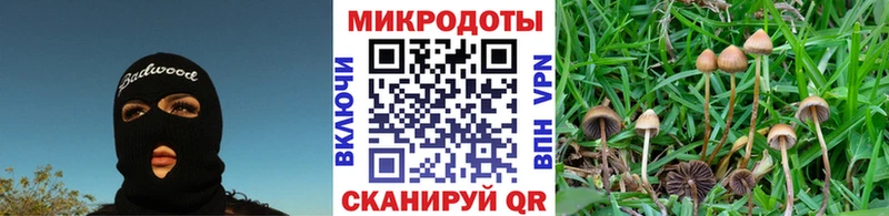 Галлюциногенные грибы Magic Shrooms  как найти закладки  Новая Ладога 