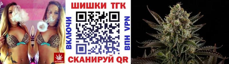 Бошки Шишки ГИДРОПОН  купить наркотики сайты  Новая Ладога 